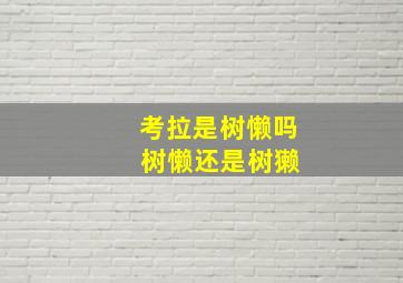 考拉是树懒吗 树懒还是树獭